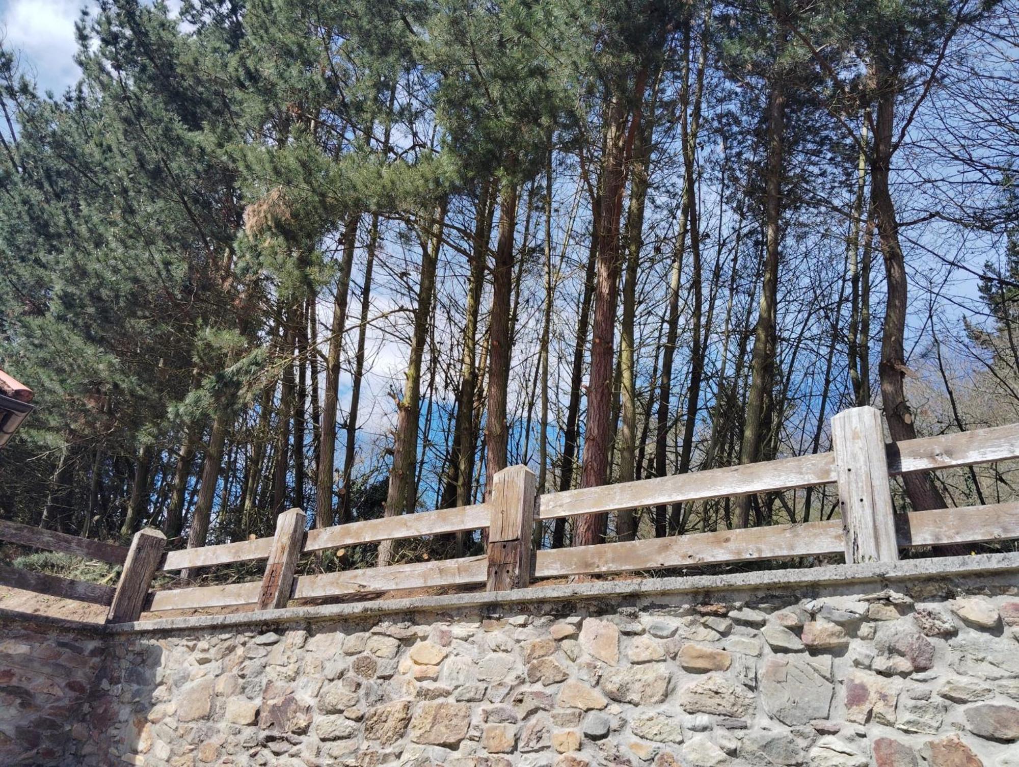 Hotel El Nuevo Semellon Aceptamos Mascotas Tineo Dış mekan fotoğraf