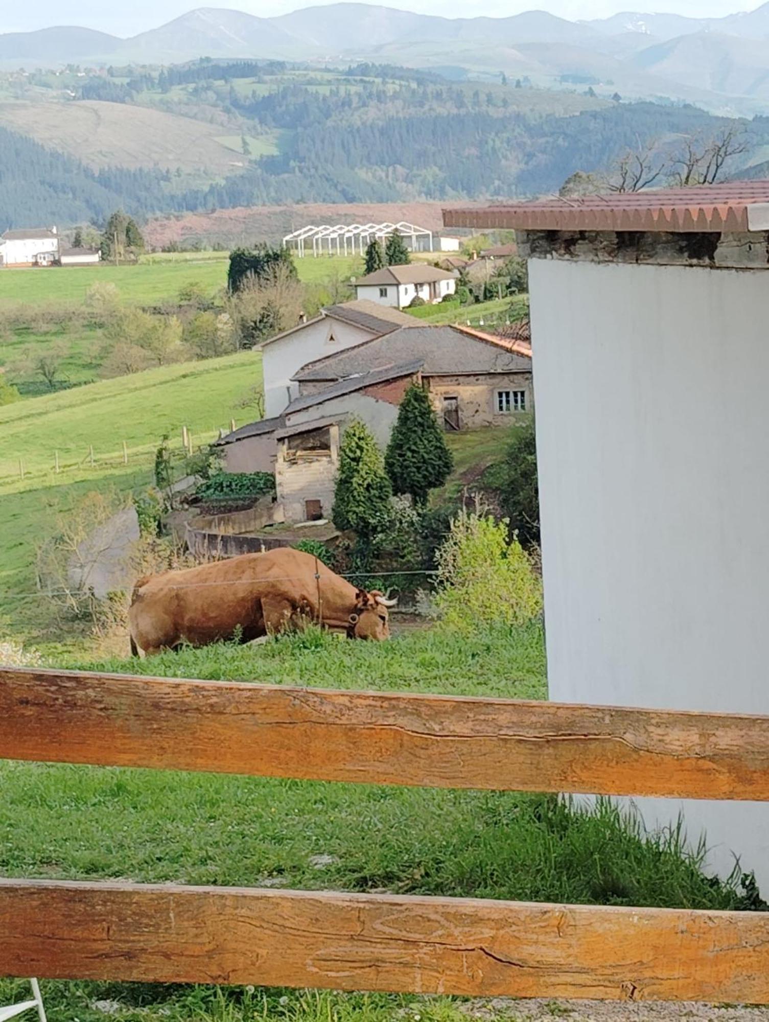 Hotel El Nuevo Semellon Aceptamos Mascotas Tineo Dış mekan fotoğraf